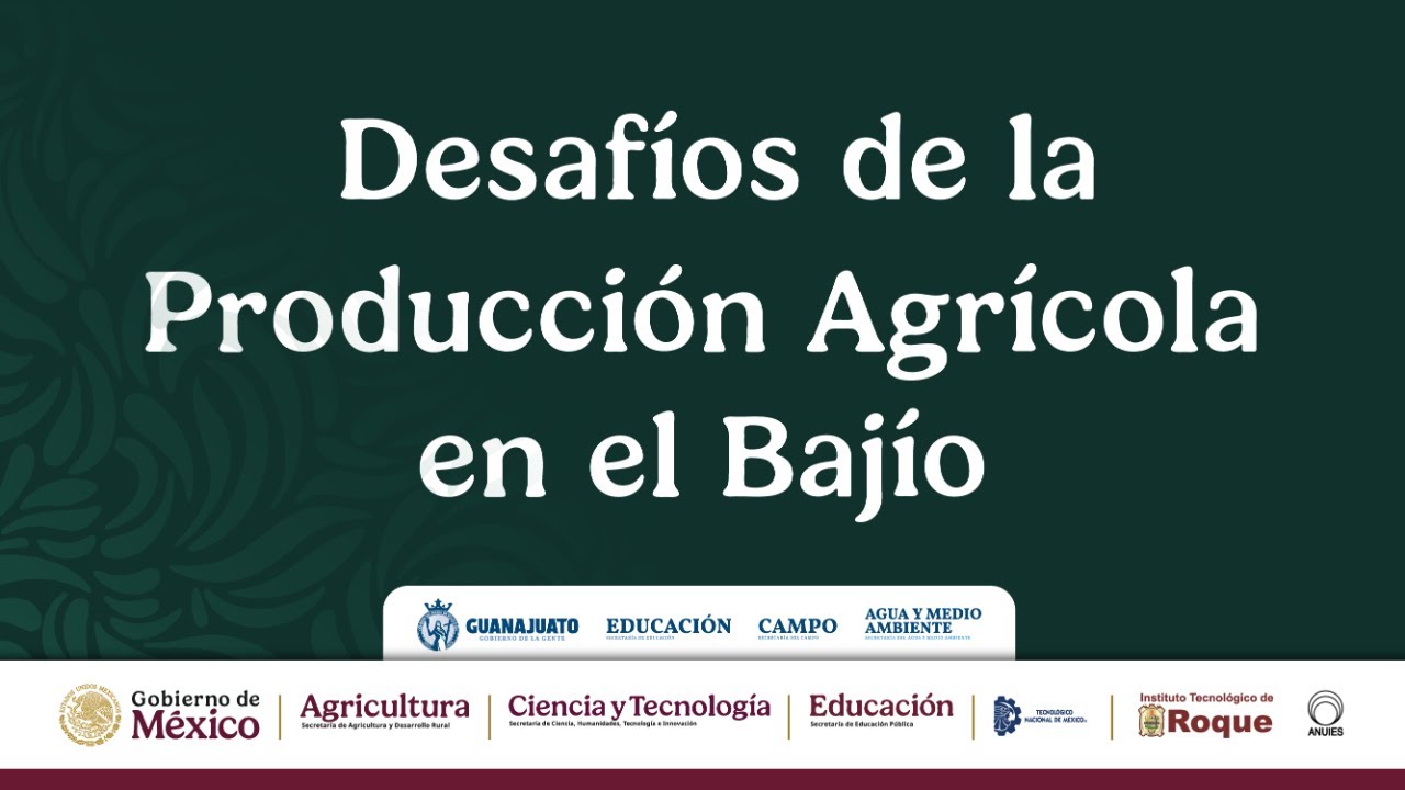 Desafío de la producción Agrícola en el Bajío