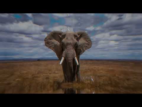 Doogee V20 NL - 6.43inch - Robuuste Smartphone - 5G - 256GB - 6000mAh - Android 11