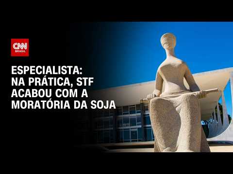 Na prática, STF acabou com a Moratória da Soja, diz especialista | WW