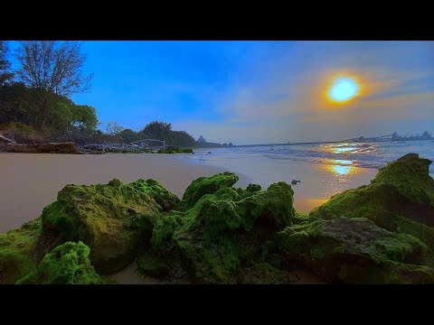 🔴4K Calming Ocean Sunset Ambience. Gentle Wave Sounds - White Noise ASMR -  Sea Ocean Sounds LIVE