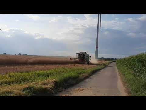 Getreideernte 2021  (Claas)