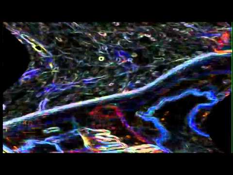 TRB 2013 - Cartmaneinz Qualifikation