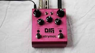 Strymon DIG Dual Digital Delay - in Depth Demo