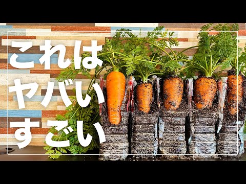 ミルクカルシウム水やり施肥カランコエが好きな植物はどれですか