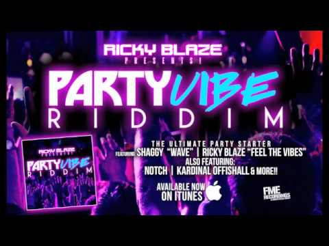 Kardinal Offishall "Can't Blame Me"  #PartyVibe Riddim