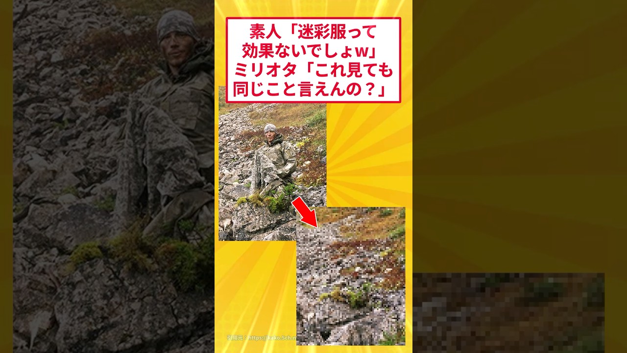 素人「迷彩服なんて意味ないでしょ」ミリオタ「これ見ても言えんの？w」 #5ch #2ch面白いスレ