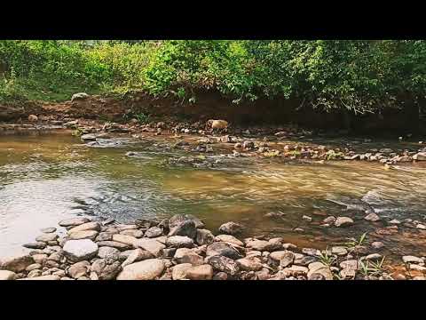 This place will make you feel calm and relaxed