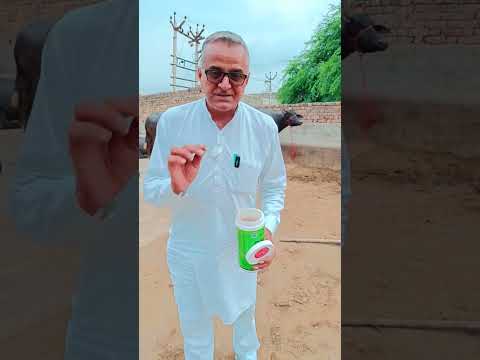 Animal Nutrition & Feed Supplement