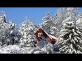 PASCAL DANEL - les neiges du kilimanjaro 