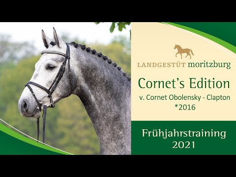 CORNET’S EDITION v. Cornet Obolensky – Clapton im Springtraining