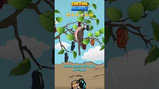 Download lagu Burung mabuk salah makan buah #animation #animasulucu #animasi mp3