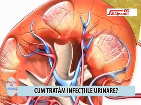 Functia vezicii urinare