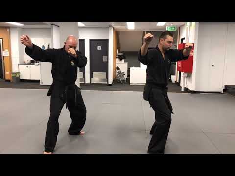 <h3>AHA Blue Belt Pattern Application</h3>
