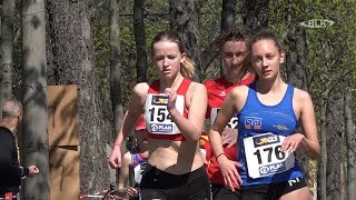 Kerstin Weber játékvezető a fair play és a sportszerűség fontosságáról a Naumburgi Sportnapokon: Interjú a játékvezetővel a sportszerűség és a fair play fontosságáról a versenyeken.
