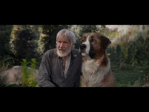 《極地守護犬》前導預告登場！ 2020 二月 做自己的主人