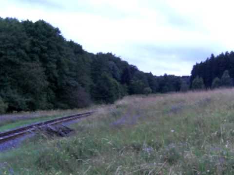 Die Selketalbahn hinter Mägdesprung 18.07.2009