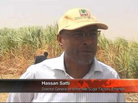 download lagu mp3 mp4 White Nile Sugar Company Ltd Sudan, download lagu White Nile Sugar Company Ltd Sudan gratis, unduh video klip White Nile Sugar Company Ltd Sudan