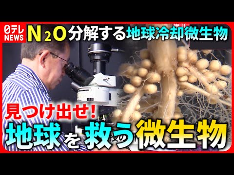 雪解けは巨大温室効果ガスを放出する