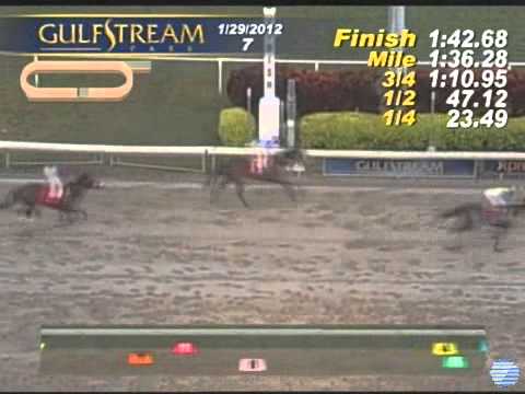 El Padrino - 1st ALW race at GP