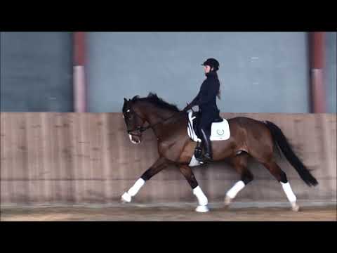 Wynton Florestan Cannon Row forår 2019