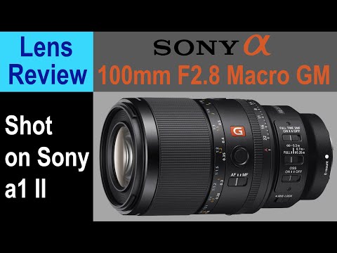 NEW Sony G-Master FE 100mm f/2.8 Macro - The BEST Macro Lens Currently Available