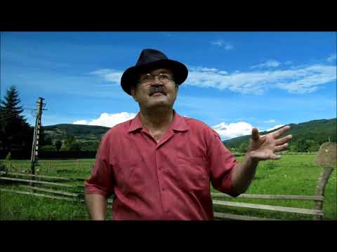 Stjepan Japec - Japa: Teške godine