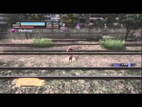 Tokyo Jungle Survival Episode 36 - Lions Ain't No Thang