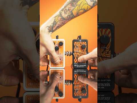 Video ID fvLLhhiOVjM