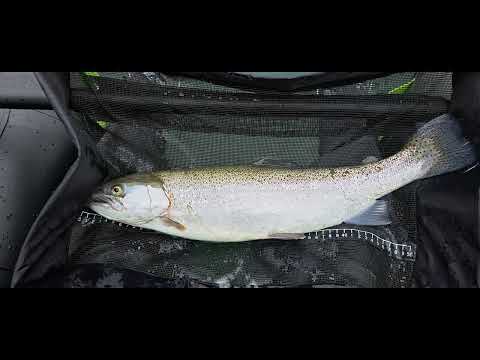 VV Meerheuvel   Dilsen Stokkem