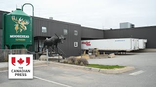 N.B. premier ready to hit U.S. ‘where it hurts’