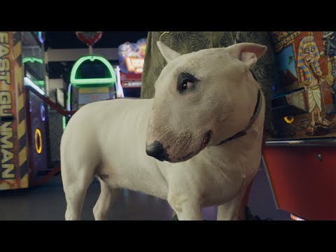 The Shed – These Materials (song taken from EP2)