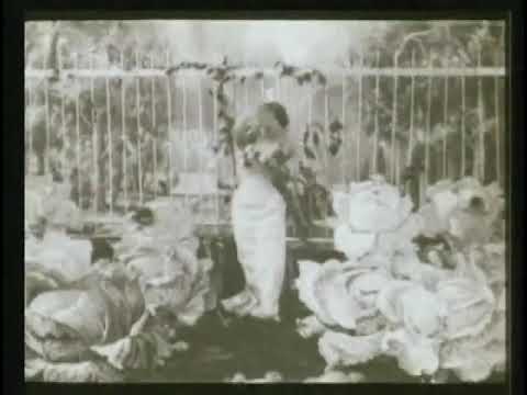 The Cabbage-Patch Fairy (1896 / 1900), dir. Alice Guy-Blaché