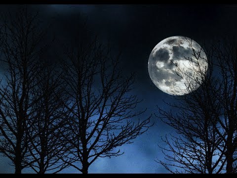 download lagu mp3 mp4 Clamavi De Profundis, download lagu Clamavi De Profundis gratis, unduh video klip Clamavi De Profundis