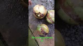 Download lagu ma mutong naman ta. mp3