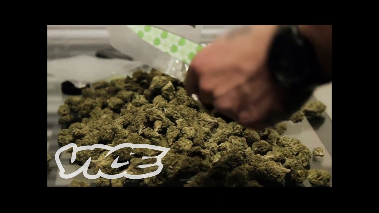 The Secrets of a Drug Dealer