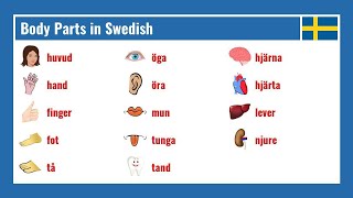 Swedish Body Vocabulary Flashcard Videos