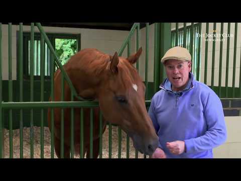 Golden Horde runs in the Darley July Cup | Clive Cox can't wait to run Royal Ascot hero