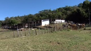 Miniatura do vídeo