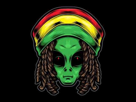 Transdriver - Jamaica