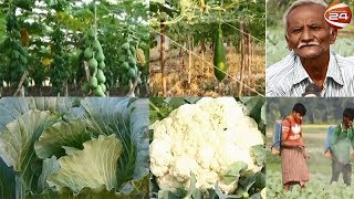 শুধুমাত্র সবজি চাষেই বদলে গেছে মেহেরপুরের সাহারবাটি গ্রামের ভাগ্য