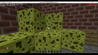 jugando hunted in animals en mi server de classicube