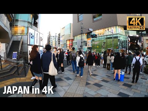【4K HDR】Harajuku Window Shopping - Tokyo, Japan