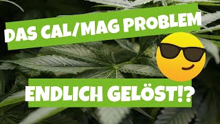 Was hilft wirklich gegen die HOMEGROW LED Krankheit!?! | CALMAG Mangel doch kein Düngerproblem!?