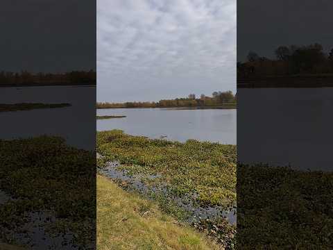 Laguna de San Vicente en Buenos Aires Argentina