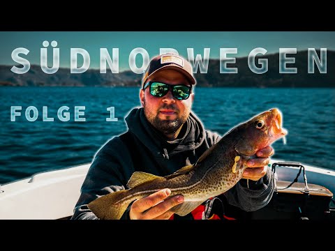 Angeln in Norwegen. Was beißt im Süden? | Vlog 1