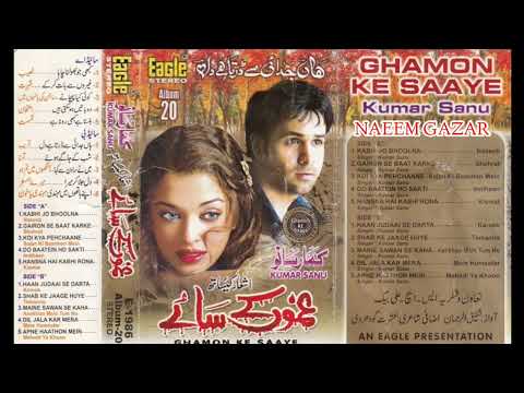 Shab Ke Jagy Hovy _ Tamana 1997 _ Kumar Sanu _ Eagle Jhankar