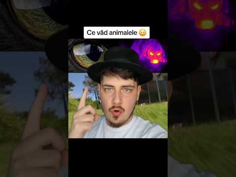 CUM VĂD ANIMALELE LUMEA DIN JUR 😳