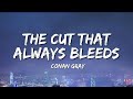 Conan Gray The Cut That Always Bleeds Lyrics