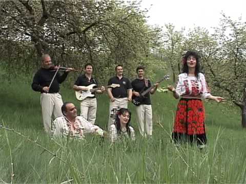 Olgica   Vino nana tu la munce