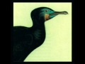 Chapel Club - Surfacing 